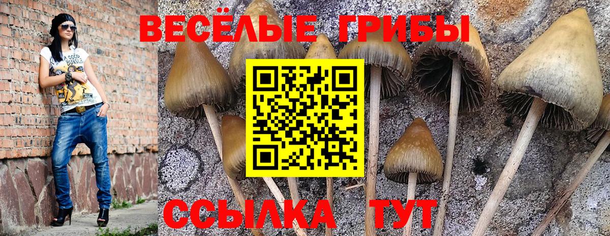 Ишимбай  Псилоцибиновые грибы ЛСД  Галлюциногенные грибы прущие грибы  Вход с VPN 
